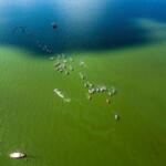 V Follow your dreams Triathlon Borzygniew