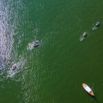 V Follow your dreams Triathlon Borzygniew