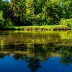 Nieruchome jezioro odzwierciedla bujne zielone drzewa pod żywym błękitnym niebem.